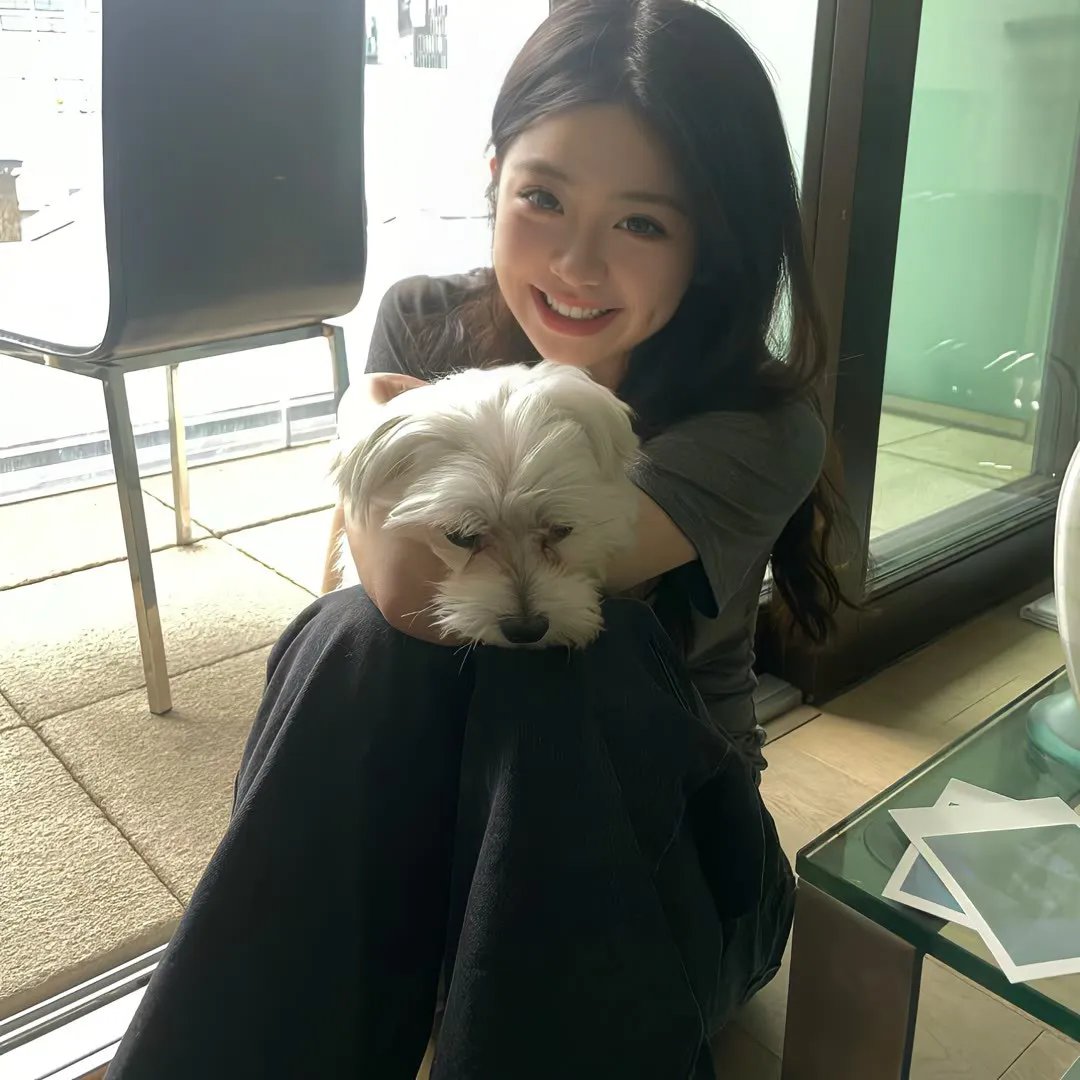 猛虎屠龙
